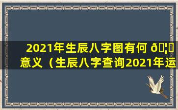 2021年生辰八字图有何 🦈 意义（生辰八字查询2021年运势）